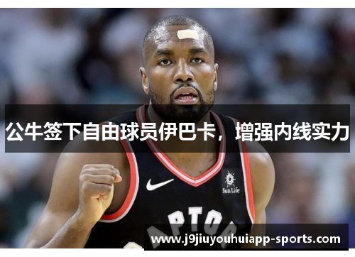 公牛签下自由球员伊巴卡，增强内线实力